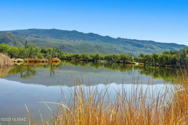 Tucson, AZ 85749,2305 N El Camino Rinconado