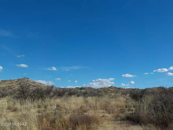 Willcox, AZ 85643,36.16ac W Grey Bear Drive #117