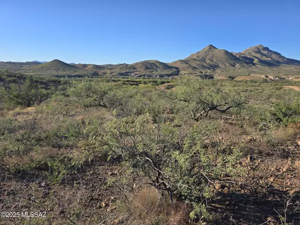 Rio Rico, AZ 85648,1222 Calle Remedios #33