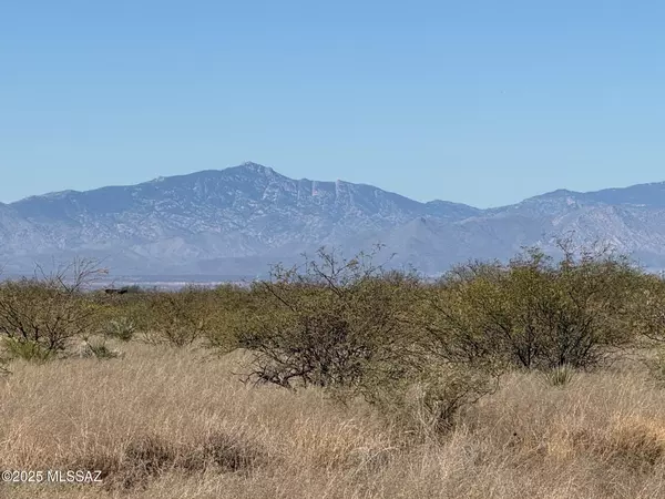 St. David, AZ 85630,45 ac S De Niza Road #48