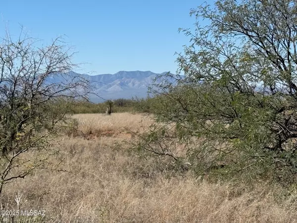 St. David, AZ 85630,45 ac S De Niza Road #48