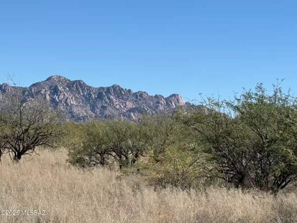 St. David, AZ 85630,45 ac S De Niza Road #48