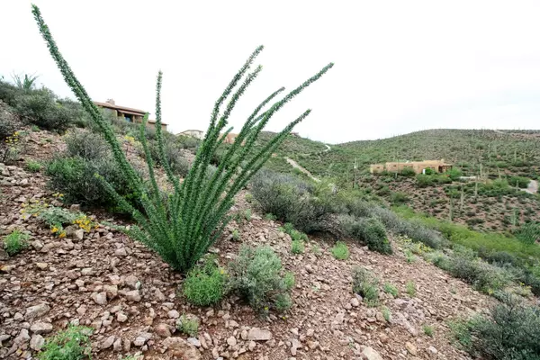 Tucson, AZ 85745,000 Gerhart  #11