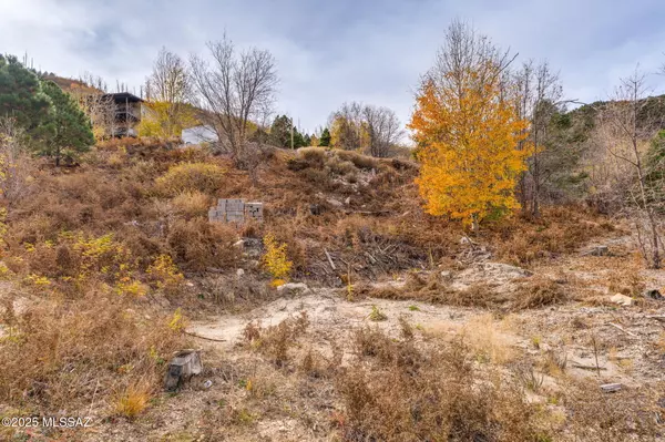 Mt. Lemmon, AZ 85619,11133 E Miami Street #17