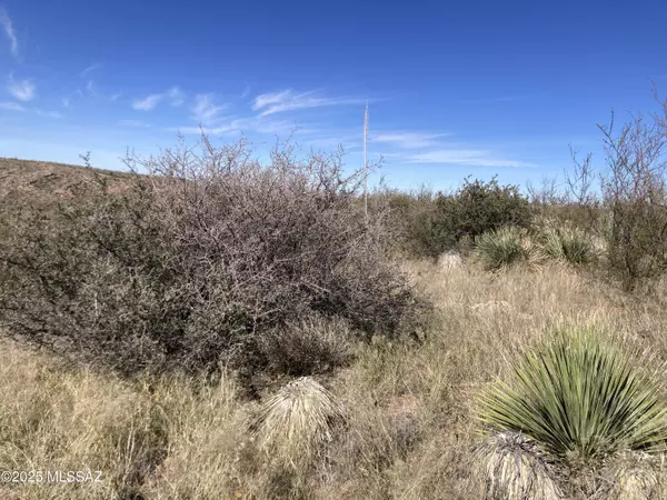 Elgin, AZ 85611,27809 S Wagon Rim Road