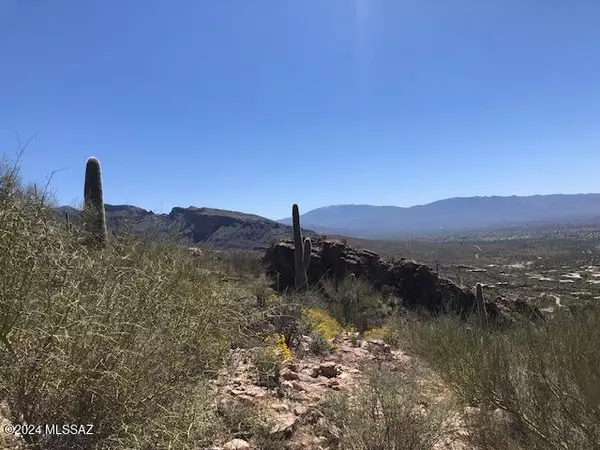 Tucson, AZ 85750,7296 E Stone Canyon Drive