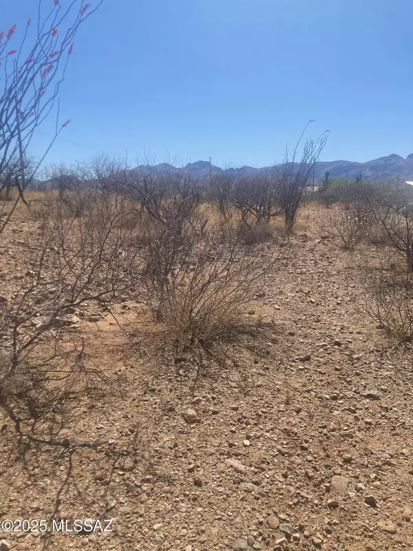 Rio Rico, AZ 85648,34 or 36 Avenida De Las Naciones  #16