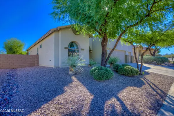 Tucson, AZ 85743,7840 N Box Camp Place