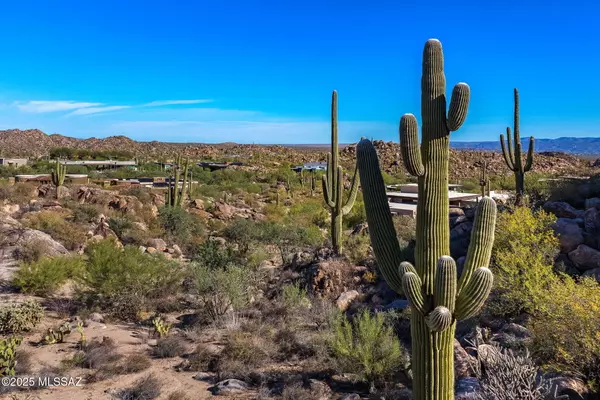 Oro Valley, AZ 85755,867 W Granite Gorge Drive #327