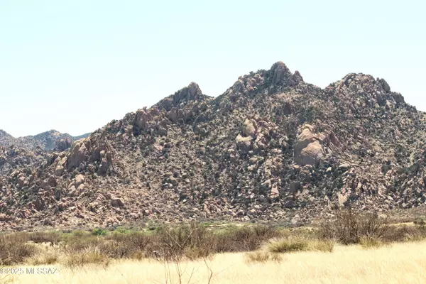 Pearce, AZ 85625,F196 E Horse Ranch Road #196