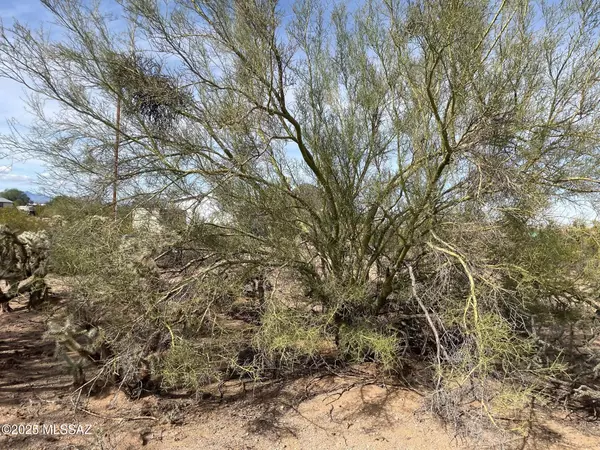 Tucson, AZ 85743,7305 N Van Ark Road #2/B