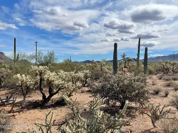 Tucson, AZ 85743,7305 N Van Ark Road #2/B