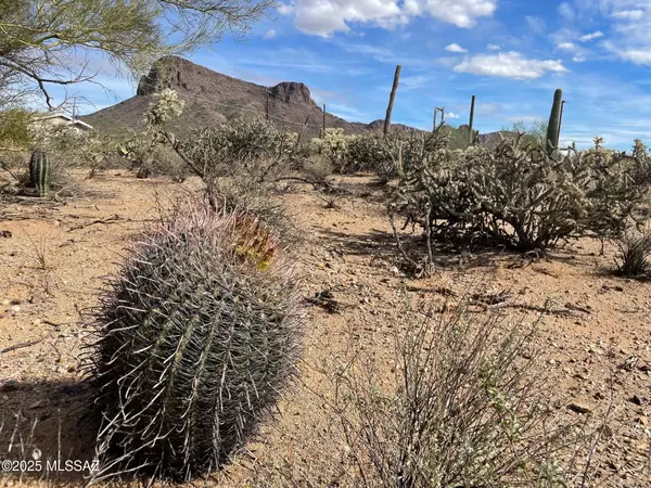 Tucson, AZ 85743,7305 N Van Ark Road #2/B