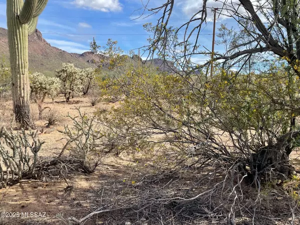 Tucson, AZ 85743,7305 N Van Ark Road #3/C