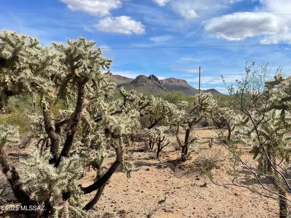 Tucson, AZ 85743,7305 N Van Ark Road #3/C