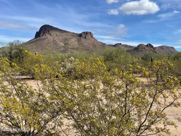 Tucson, AZ 85743,7305 N Van Ark Road #3/C