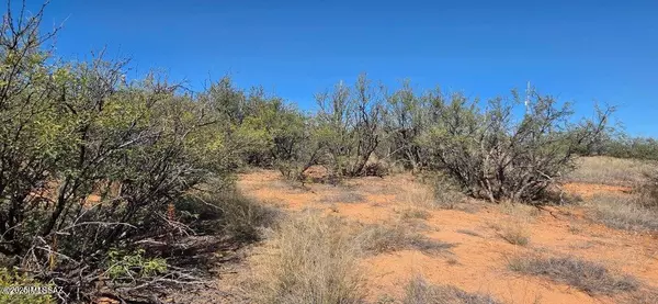 Hereford, AZ 85615,8778 E Hoyt Lane #24