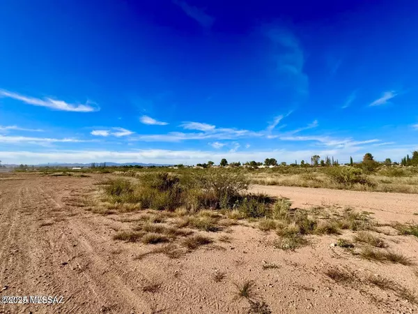 Douglas, AZ 85607,TBD International Ave 4.24 Acres