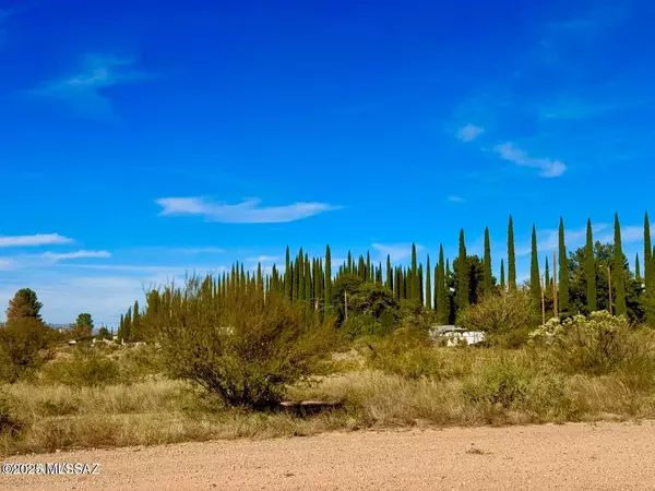 Douglas, AZ 85607,TBD International Ave 4.24 Acres