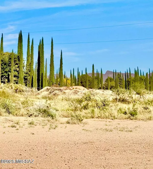 Douglas, AZ 85607,TBD International Ave 4.24 Acres