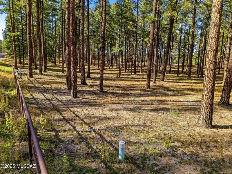 25319 US Hwy 191  #-, Alpine, AZ 85920