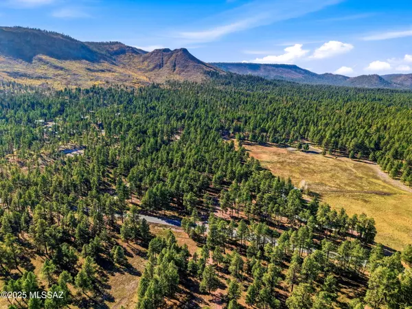 Alpine, AZ 85920,25319 US Hwy 191 #-