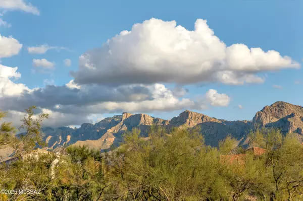 Tucson, AZ 85737,10845 N Summer Moon Place