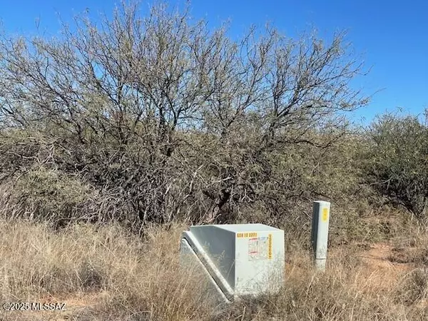 St. David, AZ 85630,Lot 67 E Horse Ranch Unit 1 Road #67