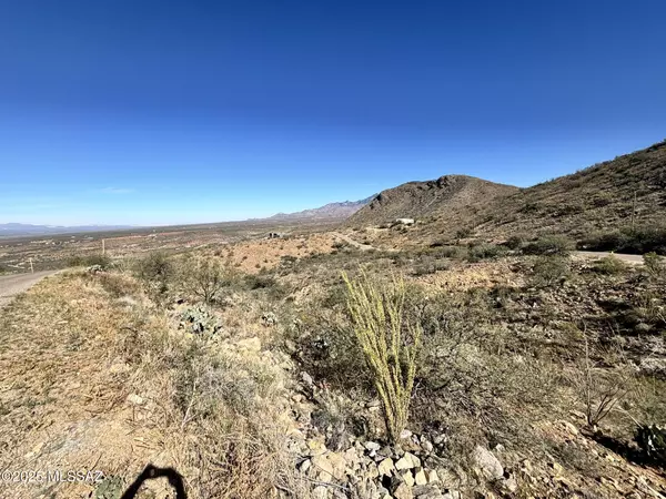 Rio Rico, AZ 85648,1770 Calle Pescador #1