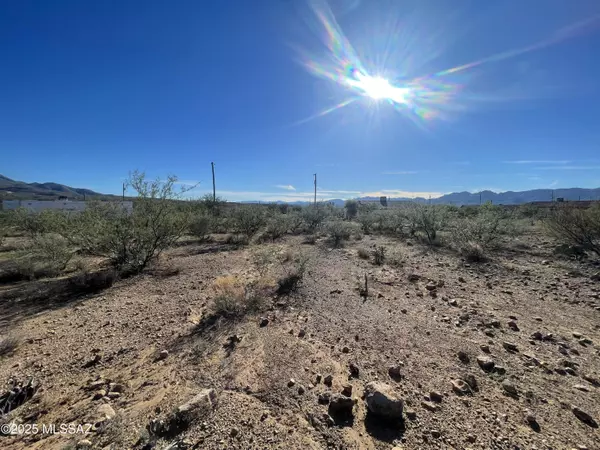 Rio Rico, AZ 85648,1853 Isabel Court #183