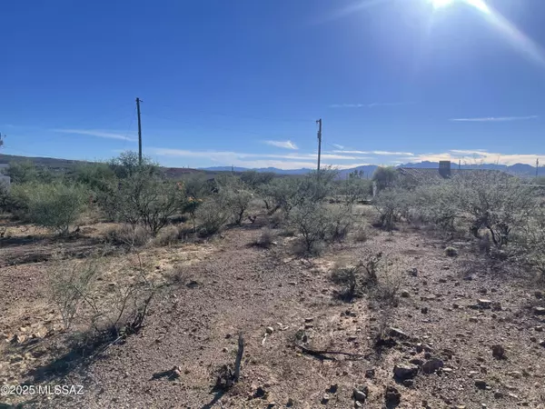 Rio Rico, AZ 85648,1853 Isabel Court #183