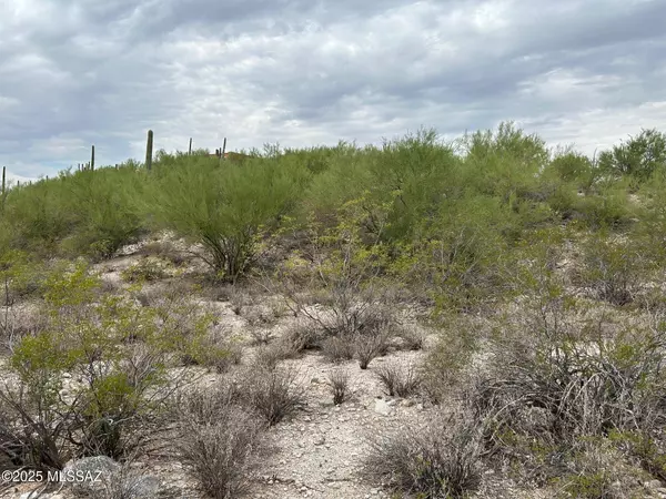 Tucson, AZ 85718,N Palo Verde Boulevard