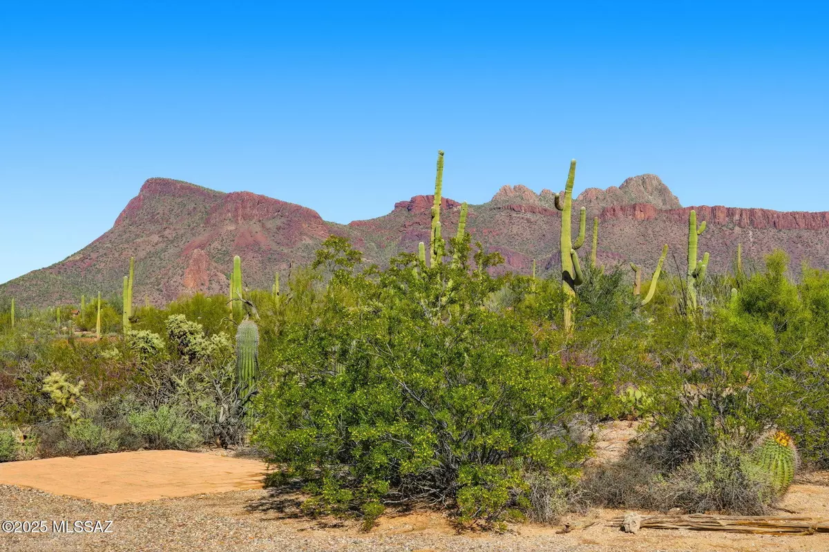 Tucson, AZ 85743,9780 W Rudasill Road