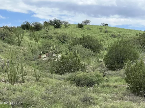 Patagonia, AZ 85624,00 Proctor Lane #D-1