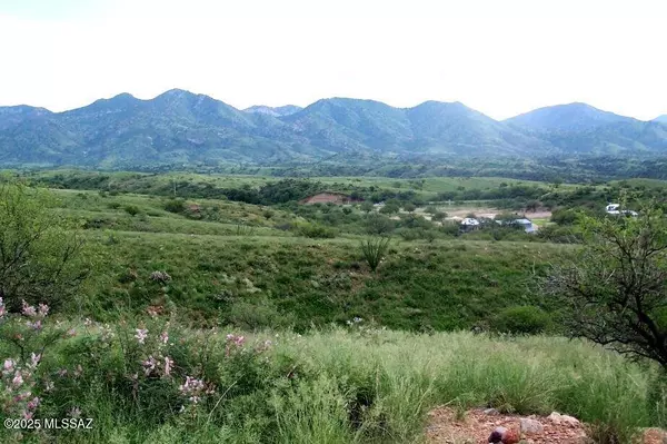 Nogales, AZ 85621,TBD San Gabriel Drive #4