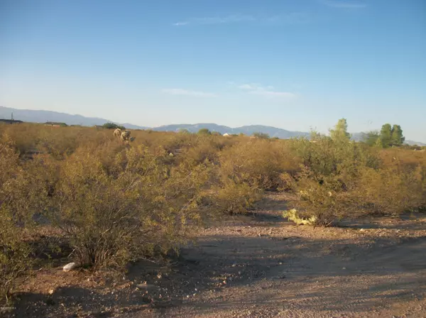 Sahuarita, AZ 85629,000 S Wilmot