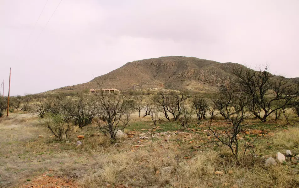 Tbd Via Mazatian #133, Rio Rico, AZ 85648