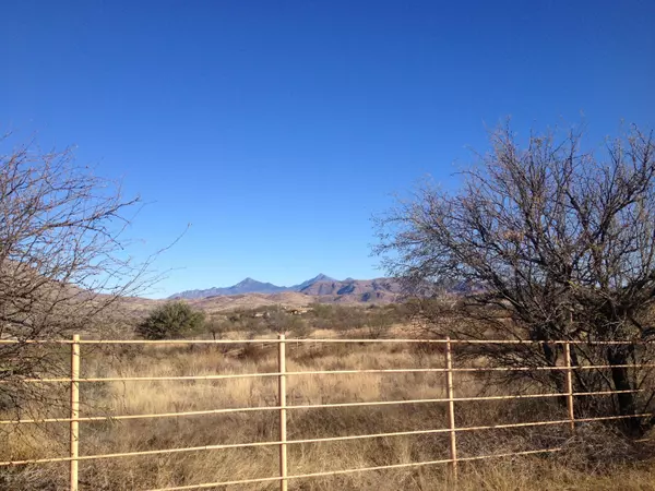 1146 Calle Carmelita, Rio Rico, AZ 85648