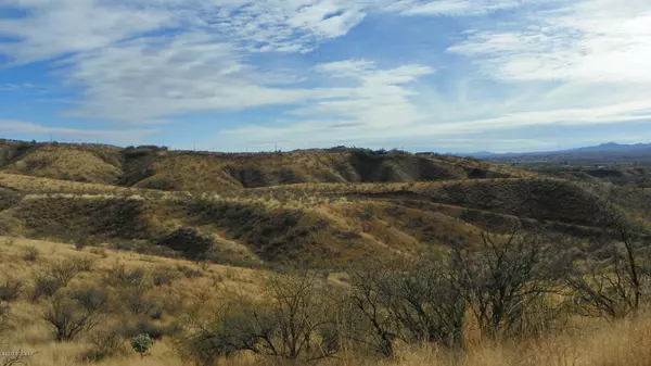 Rio Rico, AZ 85648,263 Camino Apolena