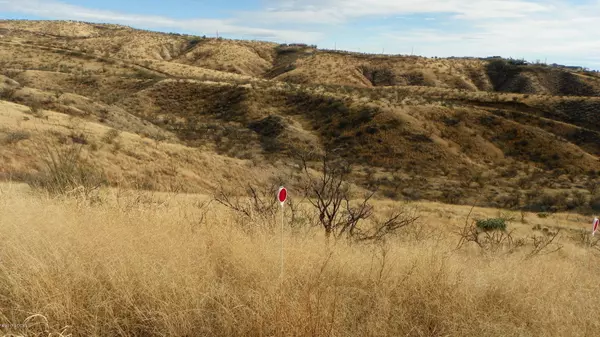 Rio Rico, AZ 85648,263 Camino Apolena