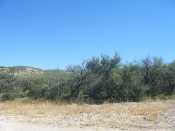 Rio Rico, AZ 85648,545 Camino Agua Fria