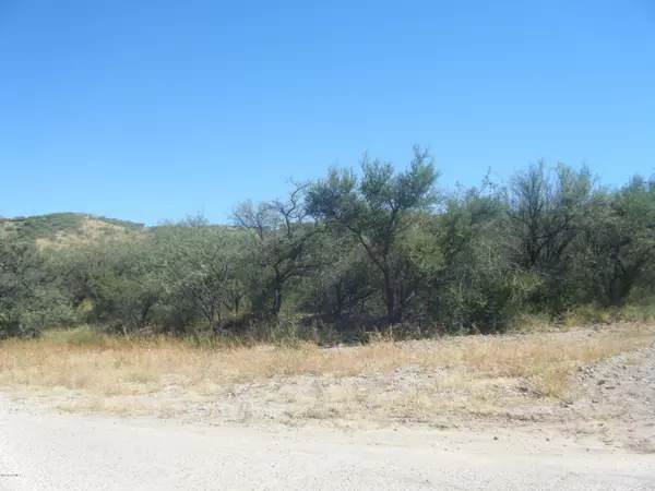 Rio Rico, AZ 85648,545 Camino Agua Fria