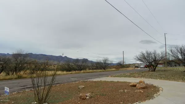 Rio Rico, AZ 85648,1365 Camino Faja