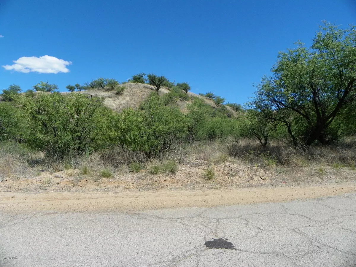 Rio Rico, AZ 85648,331 Ambrosia Court