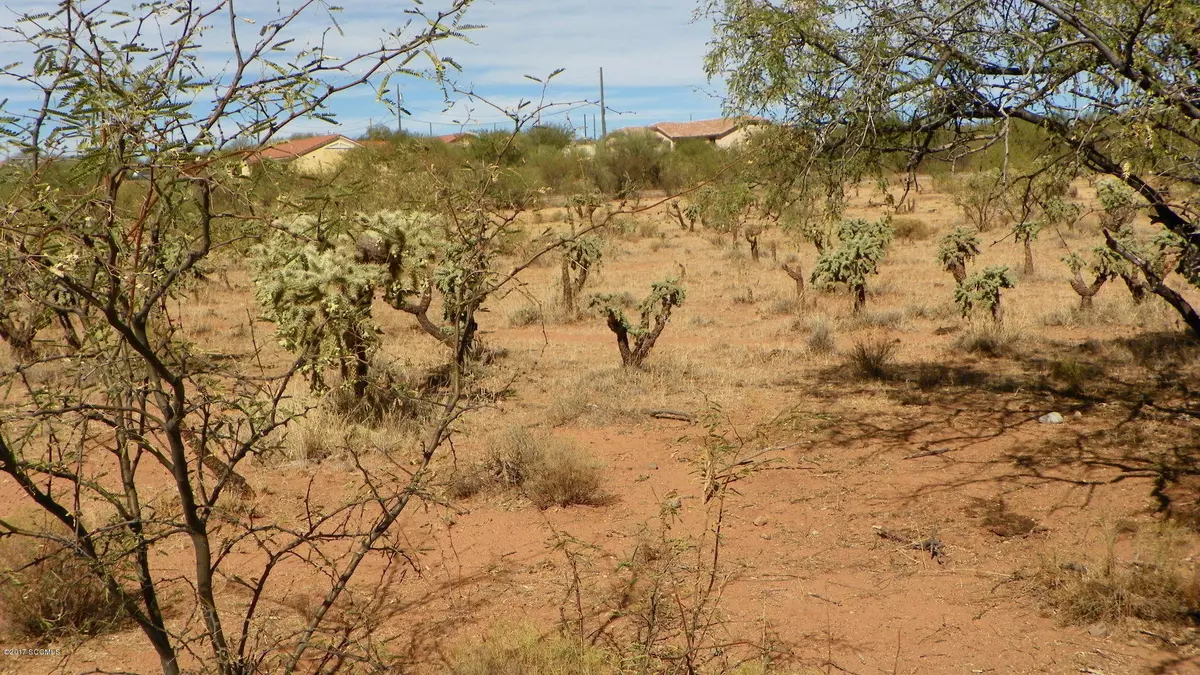 Rio Rico, AZ 85648,1777 Alder Corte