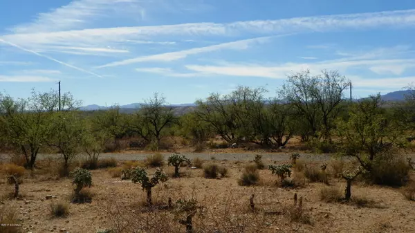 Rio Rico, AZ 85648,1777 Alder Corte