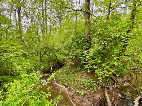 Winchester, OH 45697,12 ac Patton Road