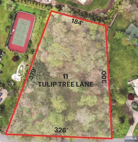 11 Tulip Tree LN, Alpine, NJ 07620