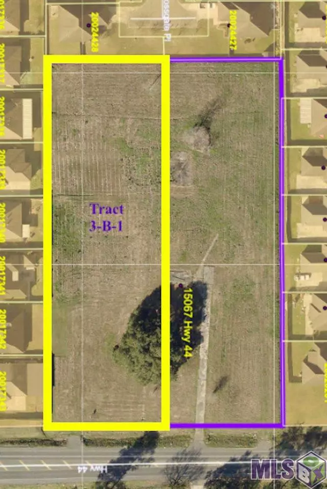 Gonzales, LA 70737,Tract 3-B-1 HWY 44