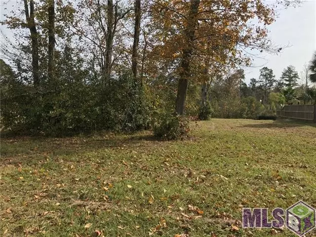 Lot 16 FAIRWAY DR, Springfield, LA 70462